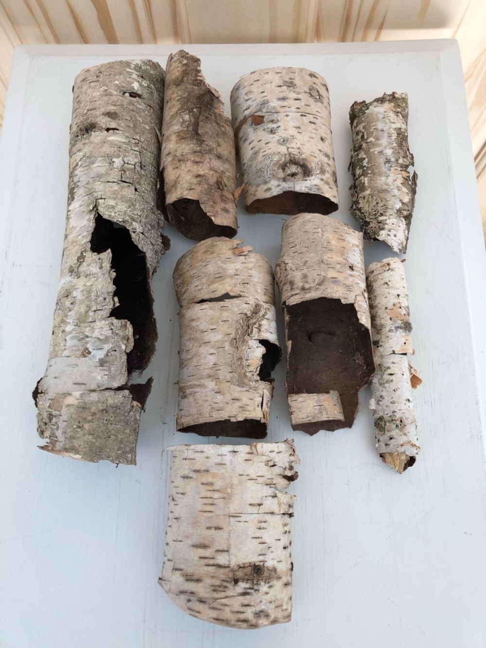 Natural White Birch Bark Collection